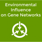 environmental-influence-rounded