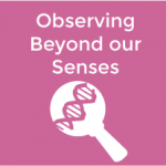 observing-sense-rounded