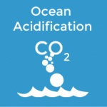 ocean-acidification-rounded