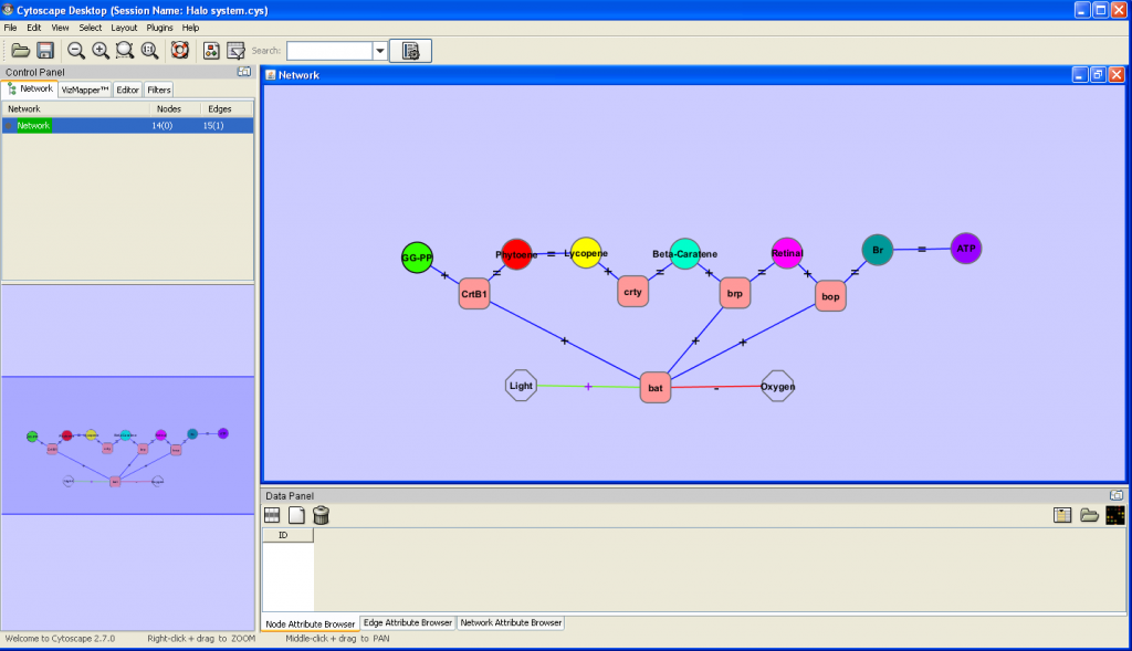 Students generated gene regulatory networks and visualized them using Cytoscape.